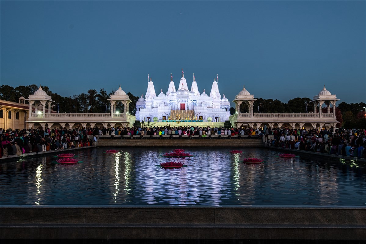 埃默里大学图集4