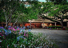路易斯安那州立大学巴吞鲁日分校图集3