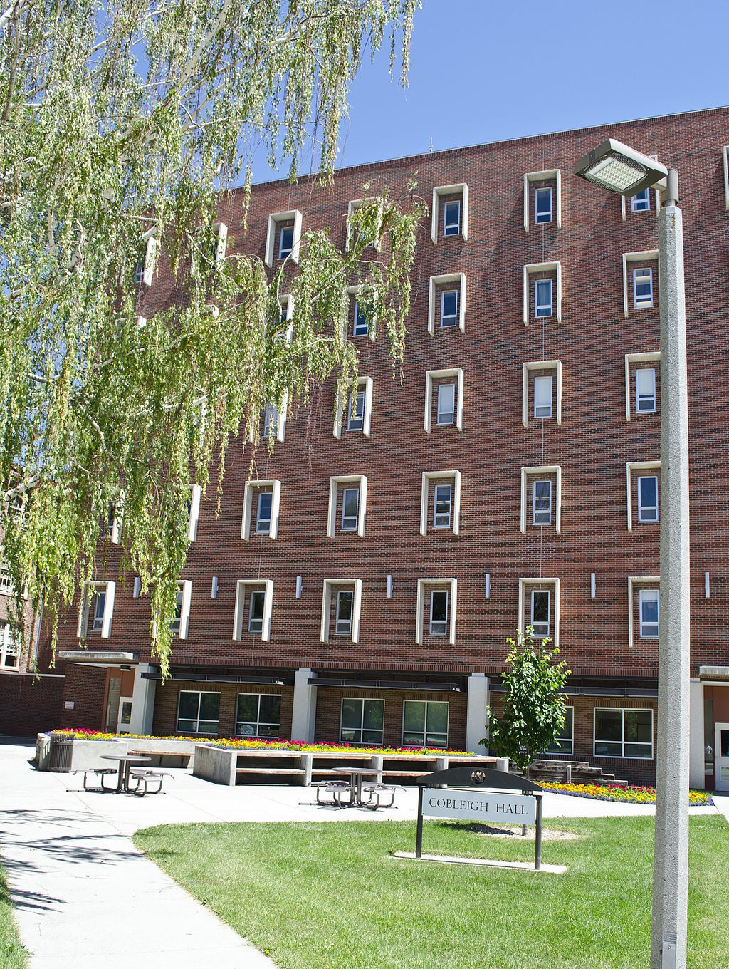蒙大拿州立大学波兹曼分校图集3