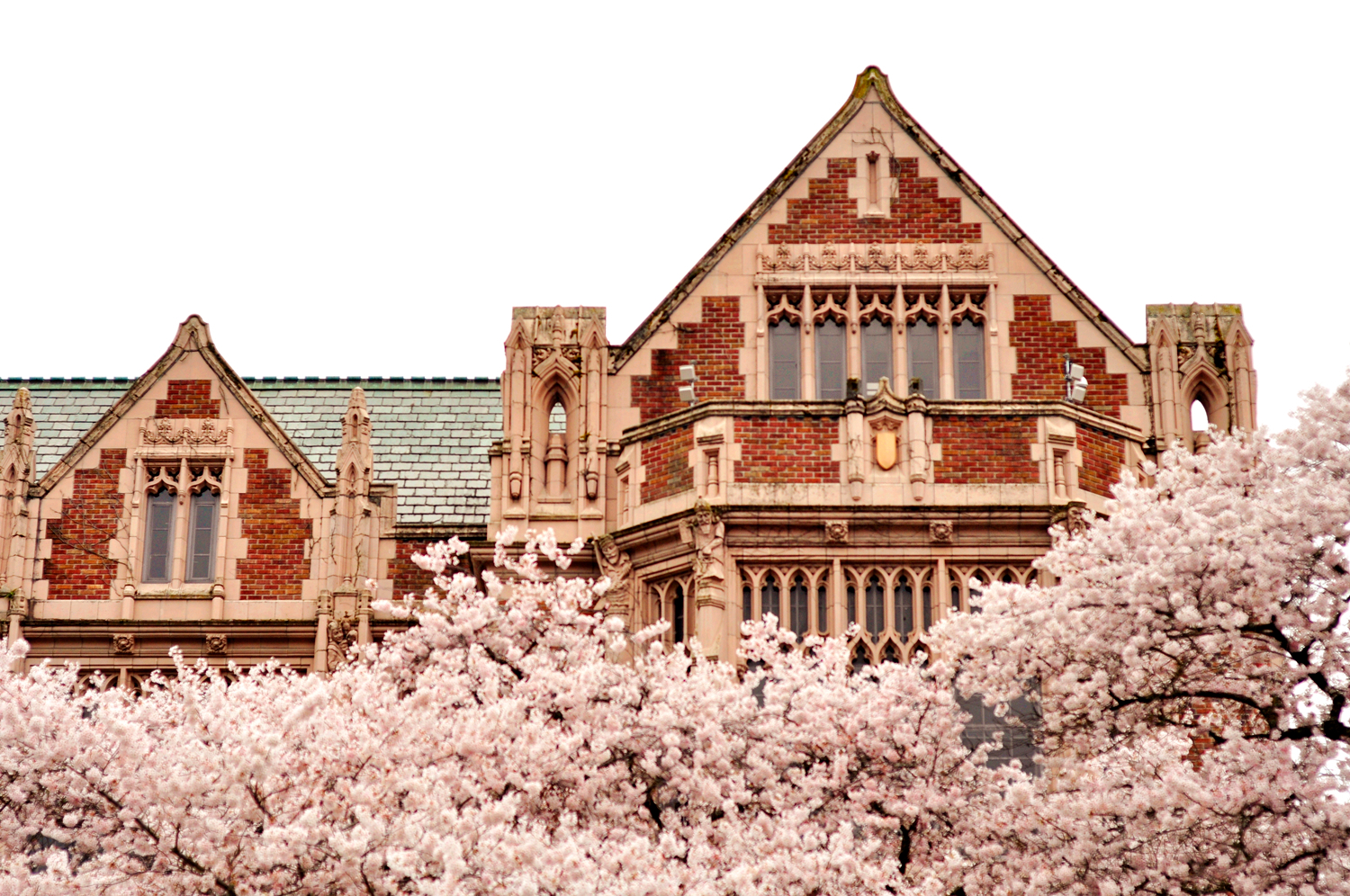 华盛顿大学图集4