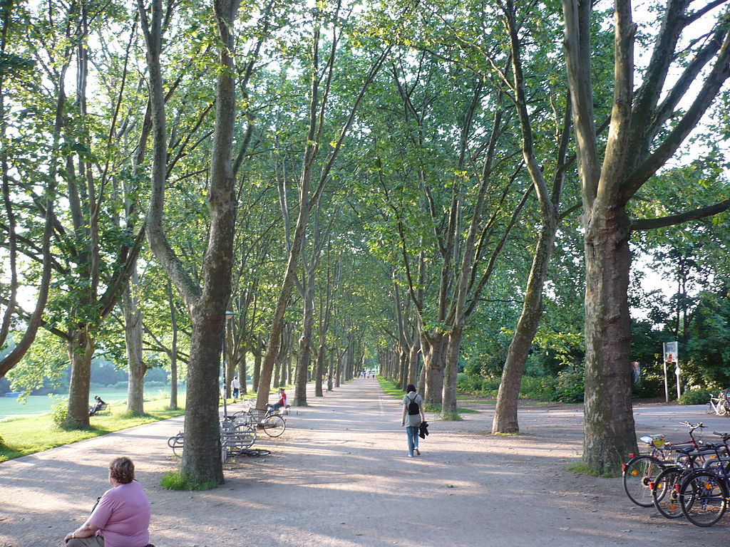 科隆大学图集1