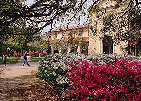 路易斯安那州立大学巴吞鲁日分校图集2
