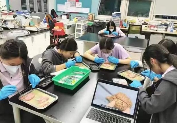 最靠谱的留学中介排名，新通教育留学中介机构