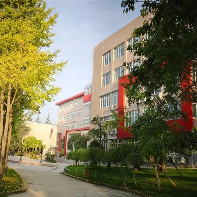 青苗学校成都校区