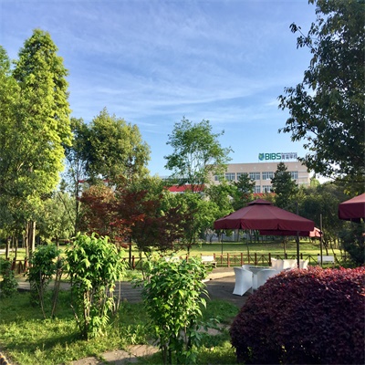青苗学校成都校区