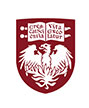 芝加哥大学